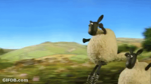 Sheep Jumping GIF