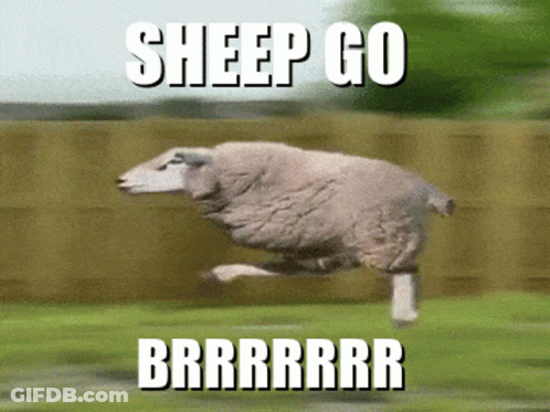 Sheep Jumping With Sheep Go Brrrrrr GIF