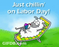 Sheep Laying In Chair Just Chillin On Labor Day GIF