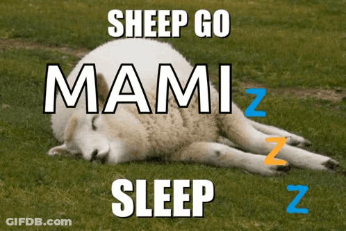 Sheep Laying In Grass Saying Sheep Go Mami Sleep GIF