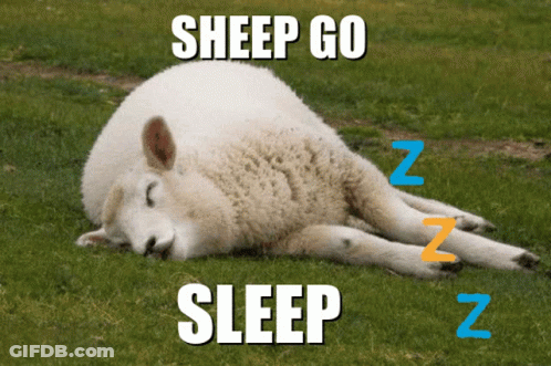 Sheep Laying In Grass Saying Sheep Go Sleep GIF