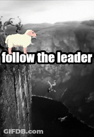 Sheep On Cliff Saying Follow The Leader GIF
