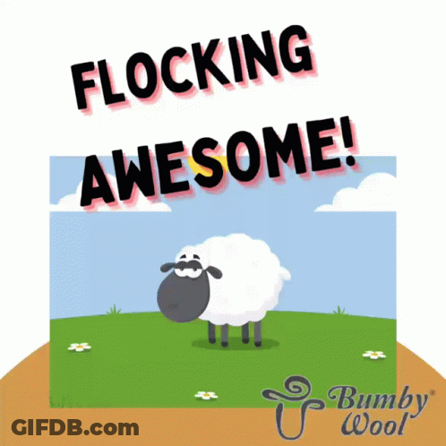 Sheep Saying Flocking Awesome GIF