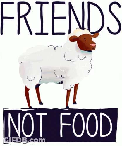 Sheep Saying Friends Not Food GIF