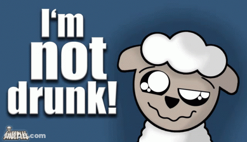 Sheep Saying I'm Not Drunk GIF