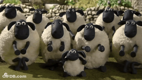 Sheep Standing In Field With Letter E GIF
