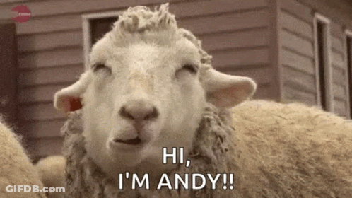 Sheep Standing In Front Of House Saying Hi I'm Andy GIF