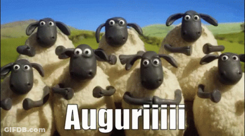 Sheep Standing Together Auguriiii GIF