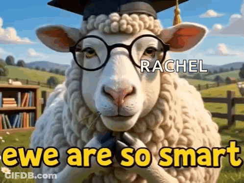 Sheep Wearing Glasses And Graduation Cap Named Rachel GIF