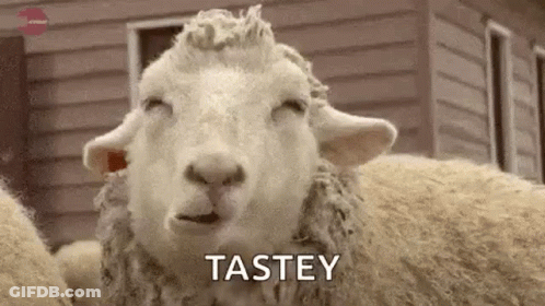 Sheep With Closed Eyes Saying Tastey GIF