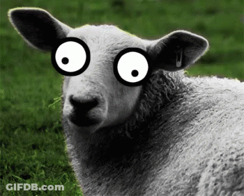 Sheep With Ear Tag Saying J GIF
