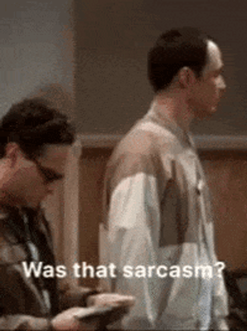 Sheldon Big Bang Theory Sarcasm GIF
