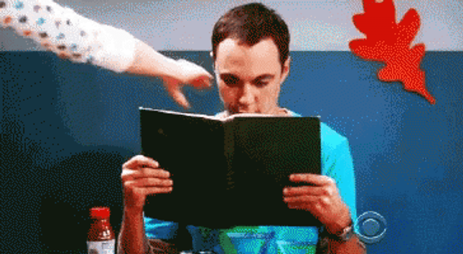 Sheldon Reading A Book Meme GIF
