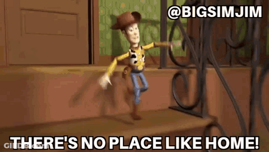 Sheriff Woody Theres No Place Like Home GIF