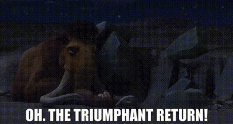 Shes Back The Triumphant Return GIF