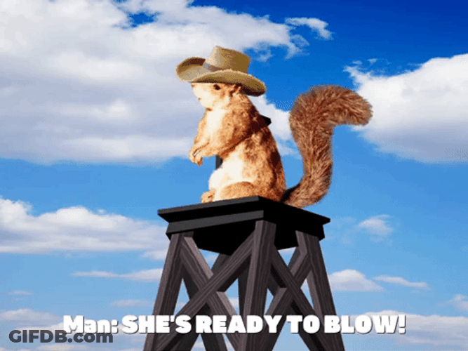 Shes Ready To Blow Cowboy Squirrel Meme GIF