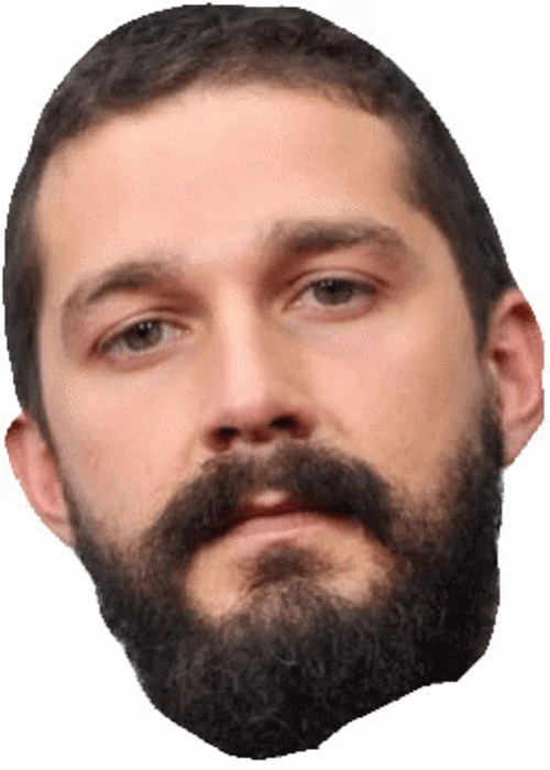 Shia Labeouf Meme Crying GIF