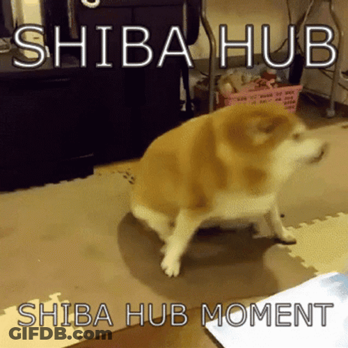 Shiba Hub Moment GIF
