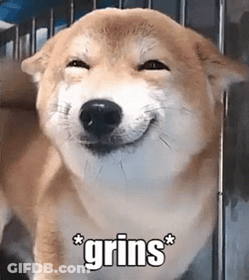 Shiba Inu Cute Grins GIF