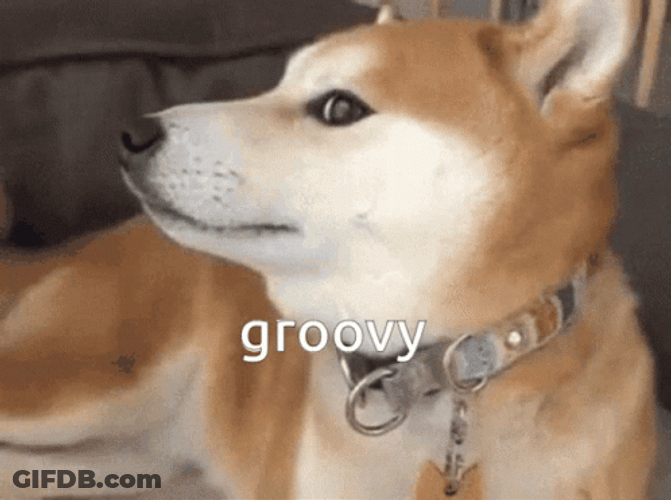 Shiba Inu Dog Groovy GIF