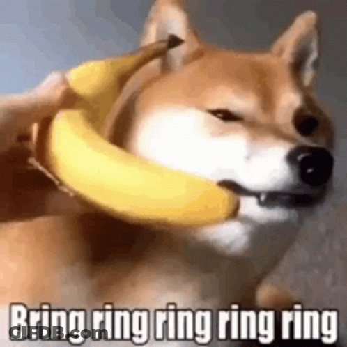 Shiba Inu Dog Holding Banana Necklace GIF