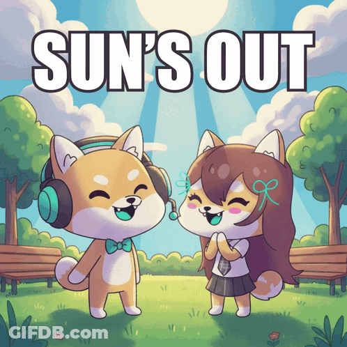 Shiba Inu Dogs Sun's Out GIF