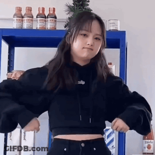 Shiba Inu Dogs With Sun's Out GIF