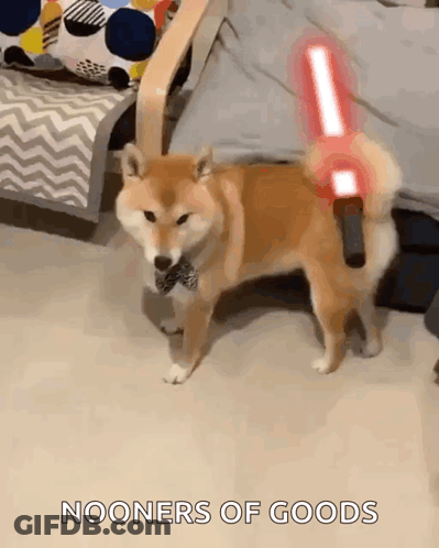 Shiba Inu Holding Light Saber GIF