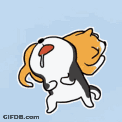 Shiba Inu Hunting Dog Cute Sleeping Drooling GIF