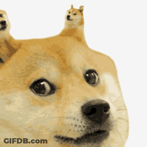 Shiba Inu Hunting Dog Funny Ears Meme GIF