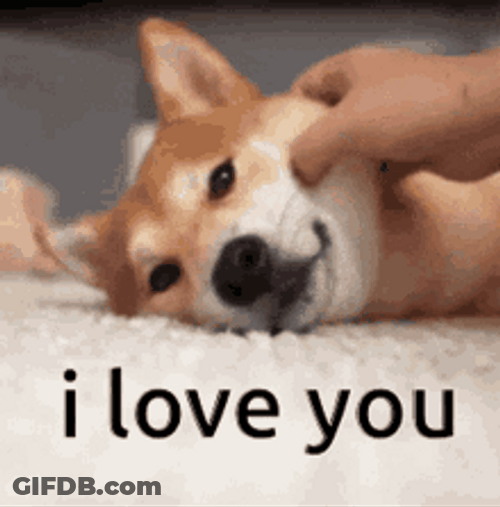 Shiba Inu Hunting Dog I Love You Cheeks GIF