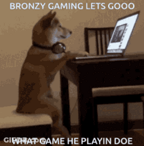 Shiba Inu Hunting Dog Let's Go Game Play GIF