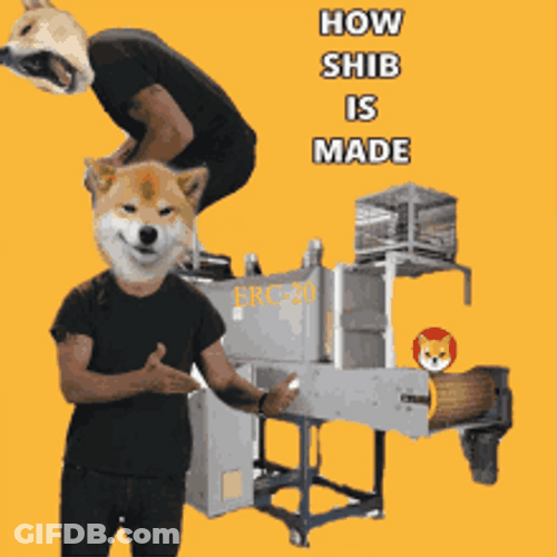 Shiba Inu Hunting Dog Meme Factory GIF