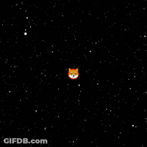Shiba Inu Hunting Dog Moon Speed Of Light GIF