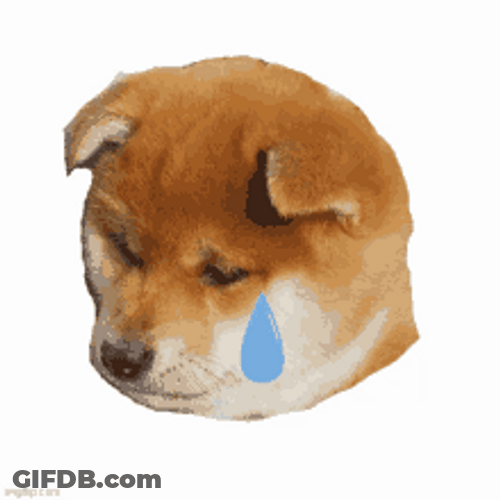 Shiba Inu Hunting Dog Sad Crying Tears GIF