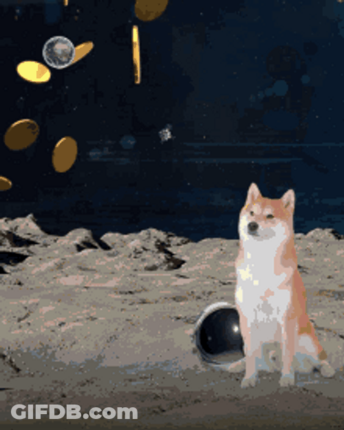 Shiba Inu Hunting Dog Space Coin GIF