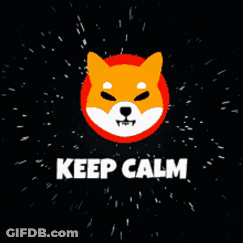 Shiba Inu Hunting Dog Space Keep Calm Buy More GIF