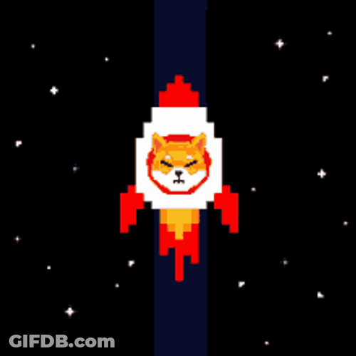 Shiba Inu Hunting Dog Space Shuttle Take Off GIF