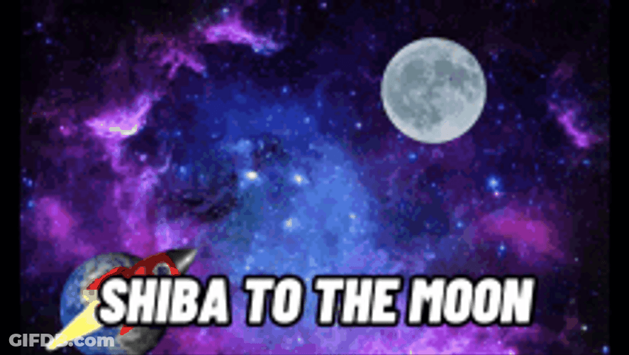 Shiba Inu Hunting Dog The Moon Space Rocket GIF