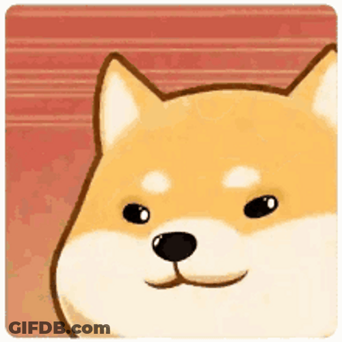 Shiba Inu Hunting Dog GIF