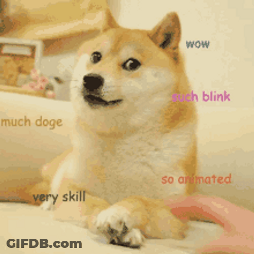 Shiba Inu Hunting Dog Wow Blink So Animated GIF