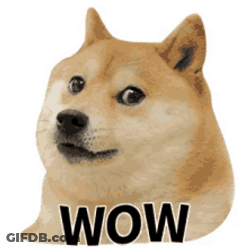 Shiba Inu Hunting Dog Wow Smile GIF