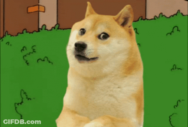 Shiba Inu Meme Disappear In Bush GIF