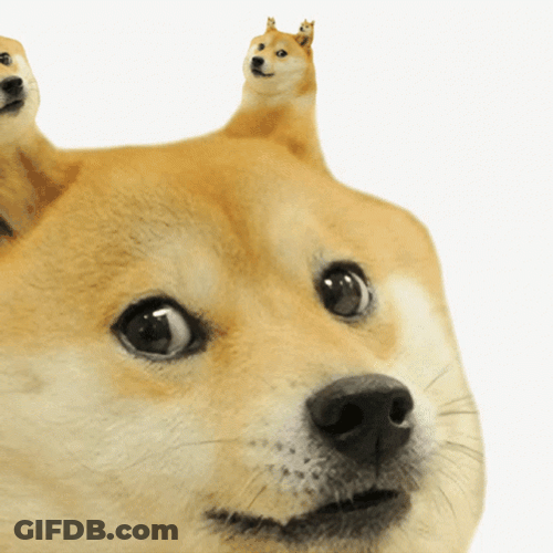 Shiba Inu Meme Loop GIF