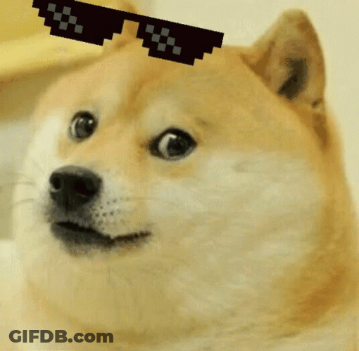 Shiba Inu Thug Life GIF