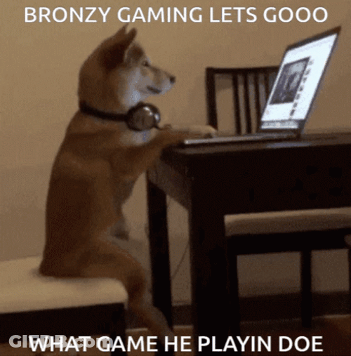 Shiba Inu Using Laptop Playing GIF