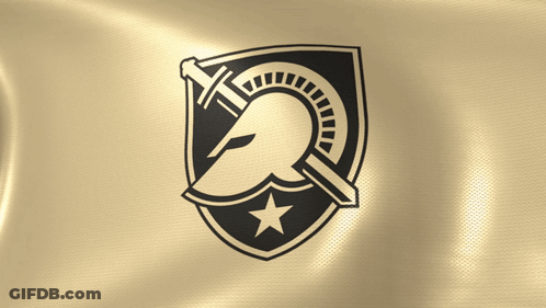 Shield With Helmet And Sword GIF