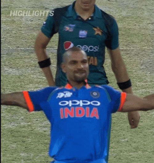 Shikhar Dhawan Matthew Wade GIF