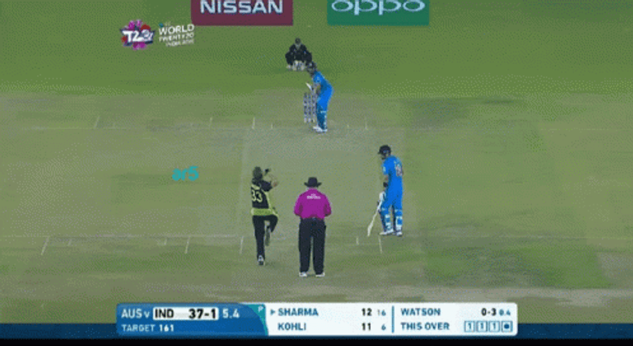 Shikhar Dhawan Shane Watson World Cup GIF