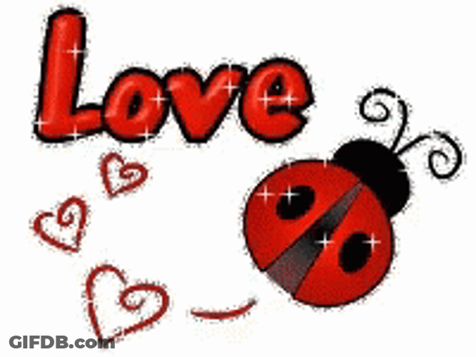 Shimmering Ladybug Love Mobile Art GIF